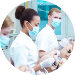 Бесплатное обучение для выпускников и студентов стоматологов в Блеске